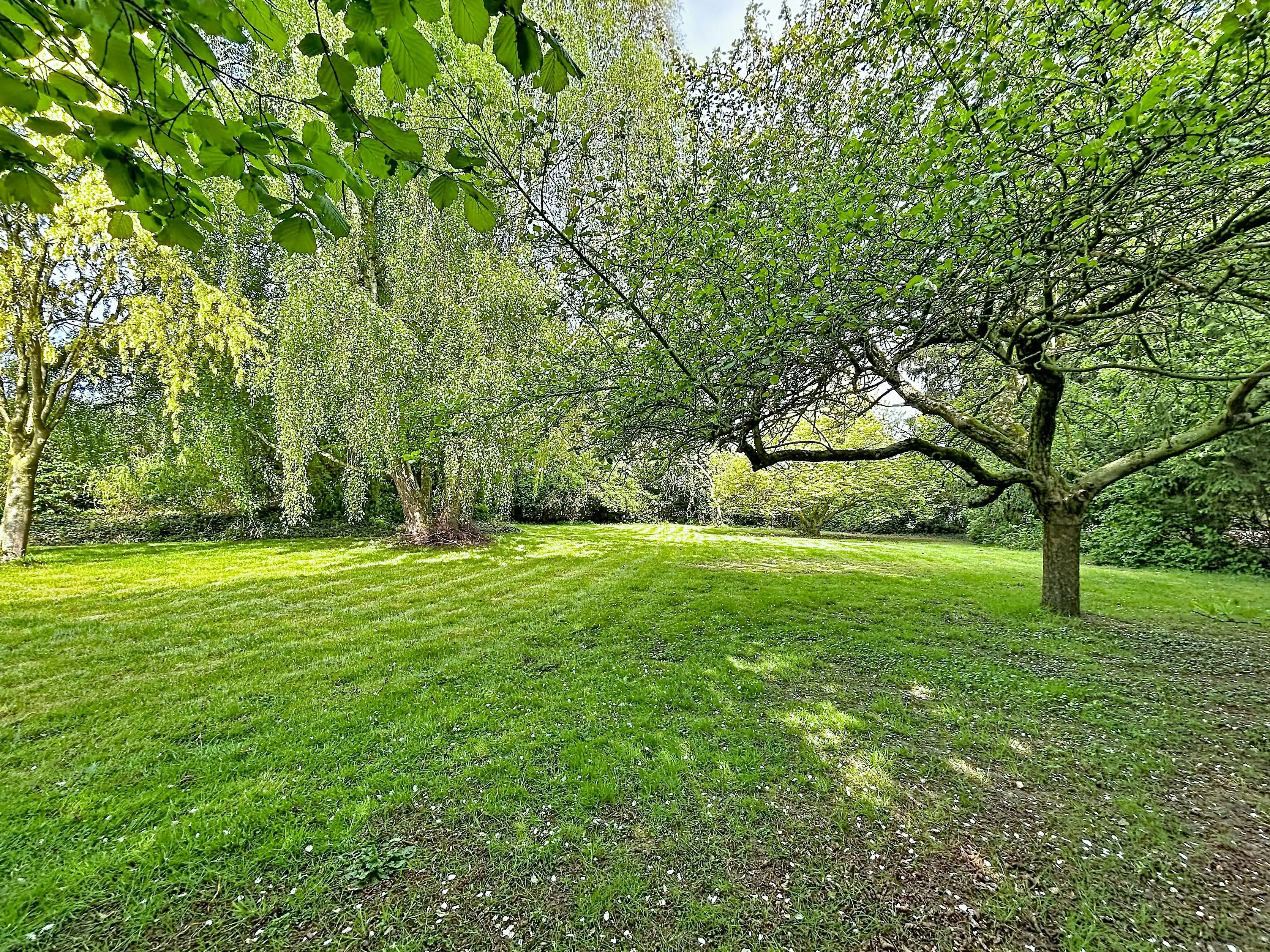 Exclusief wonen in het groen: Een verborgen parel in Meise foto 12