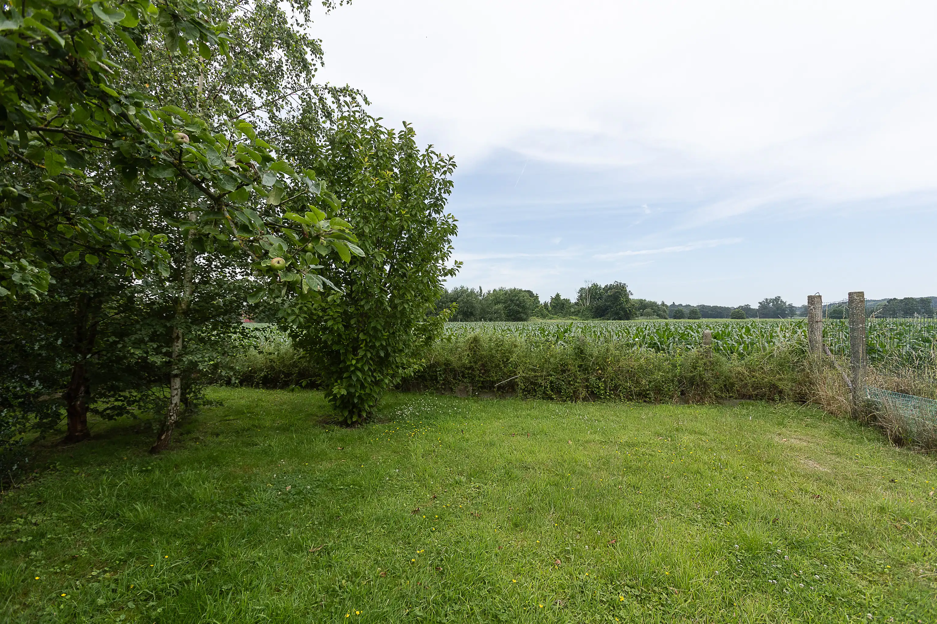 Te renoveren woning met prachtige tuin aan Drongengoedbos foto 25