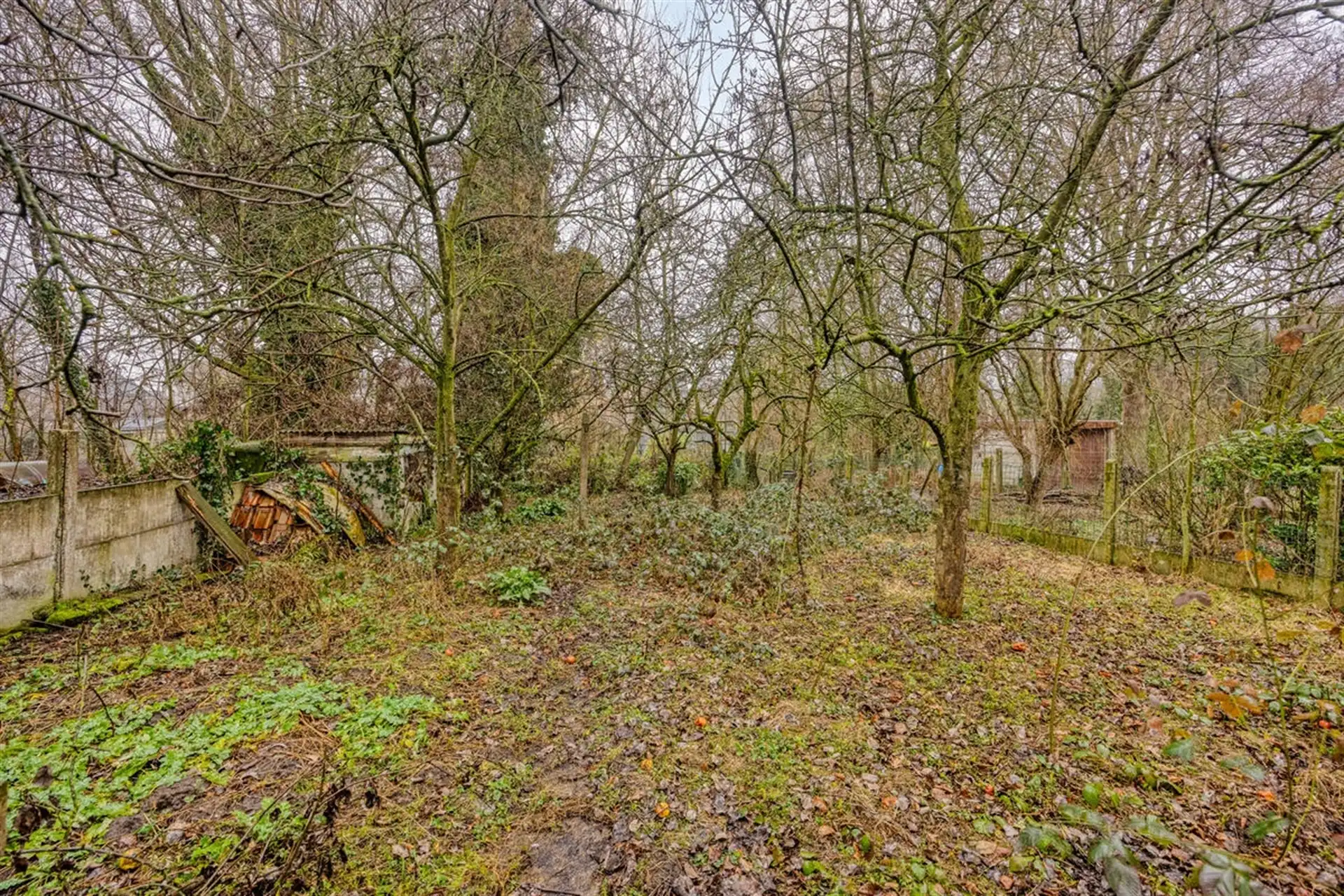 Te renoveren woning met prachtige tuin foto 30