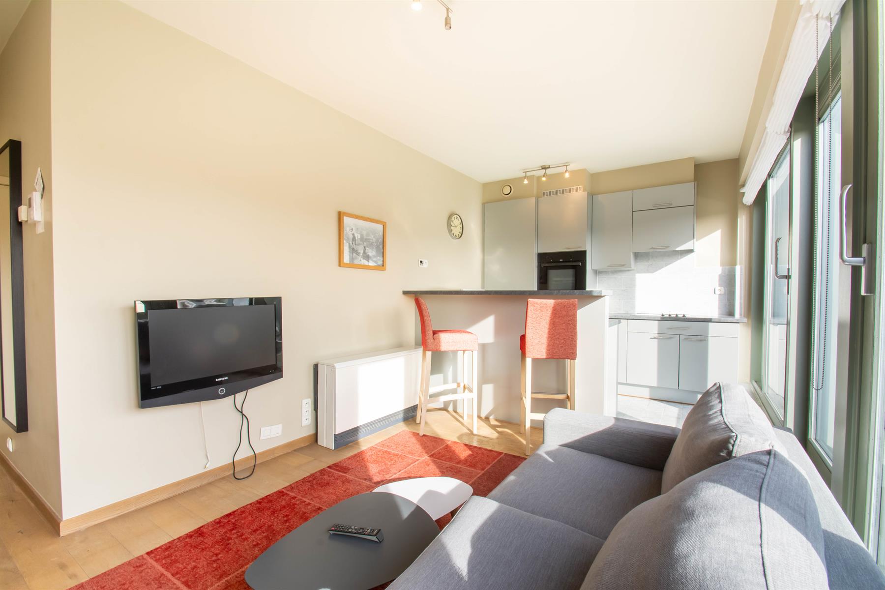 Prachtig gemeubeld app - 1Kamer + Terras (Europese wijk) foto 5