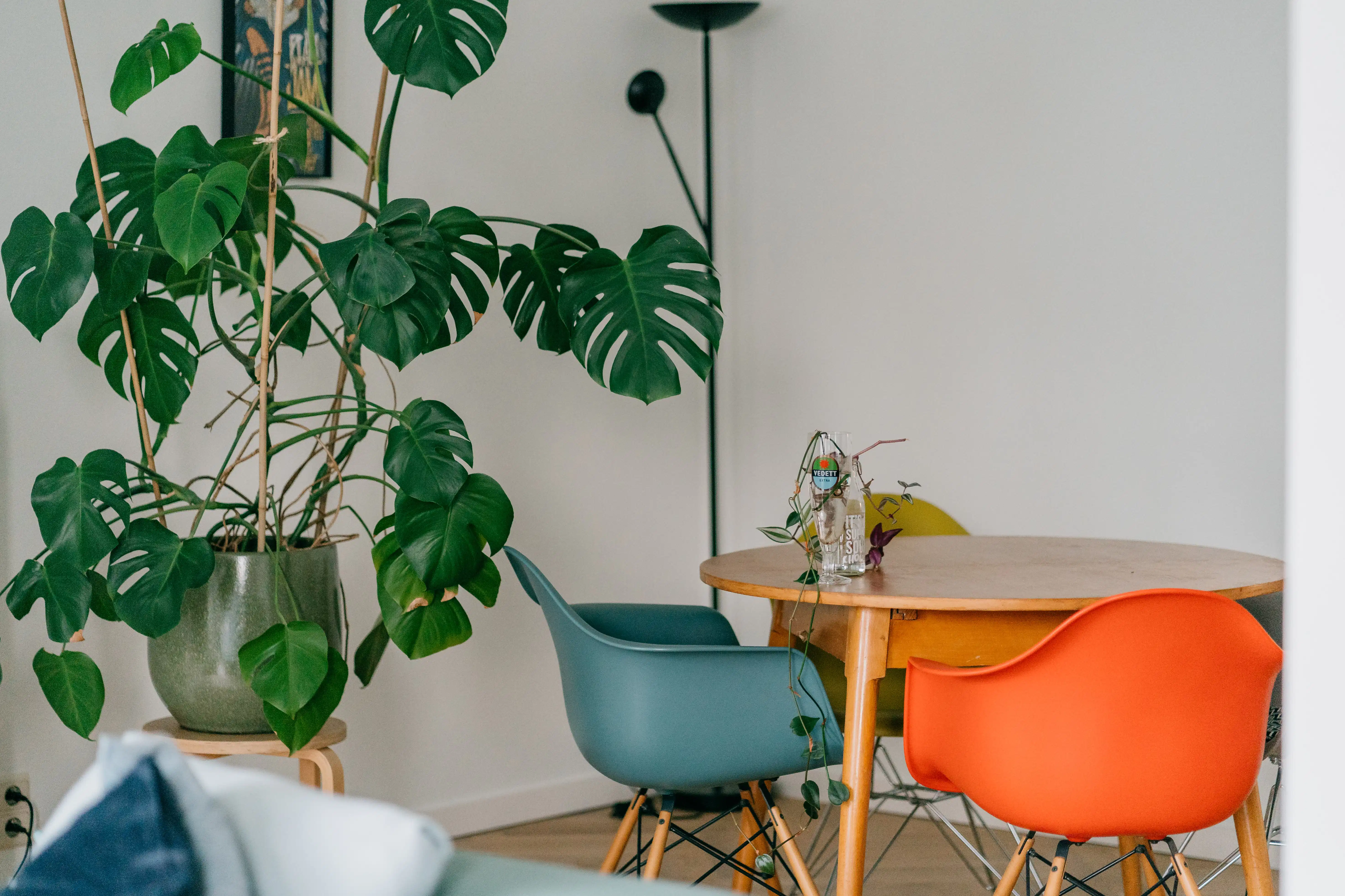 Fifty shades of green appartement in de wijk Groenenhoek in Berchem foto 23