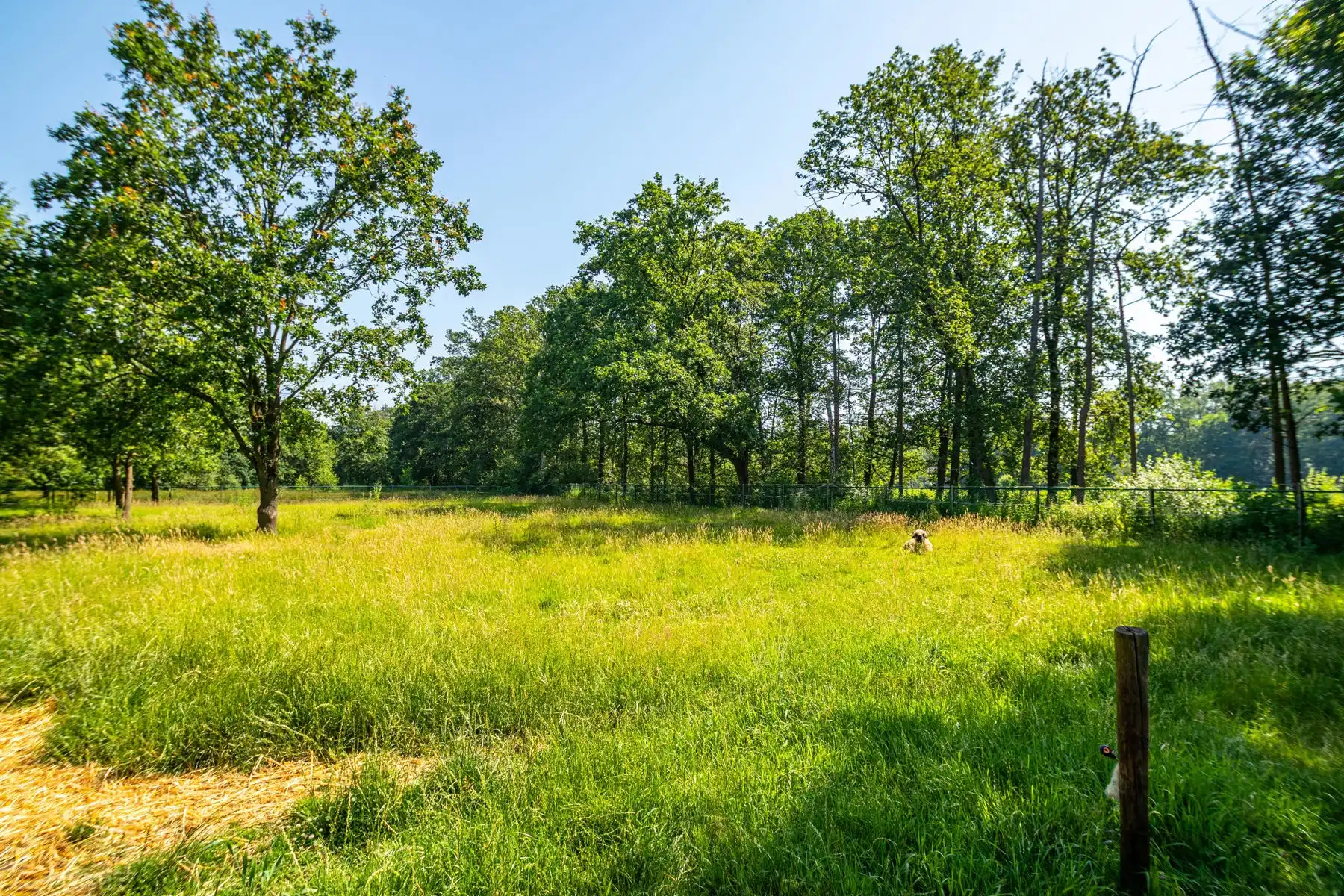 Ruime villa met zwembad en panoramische vergezichten foto 38