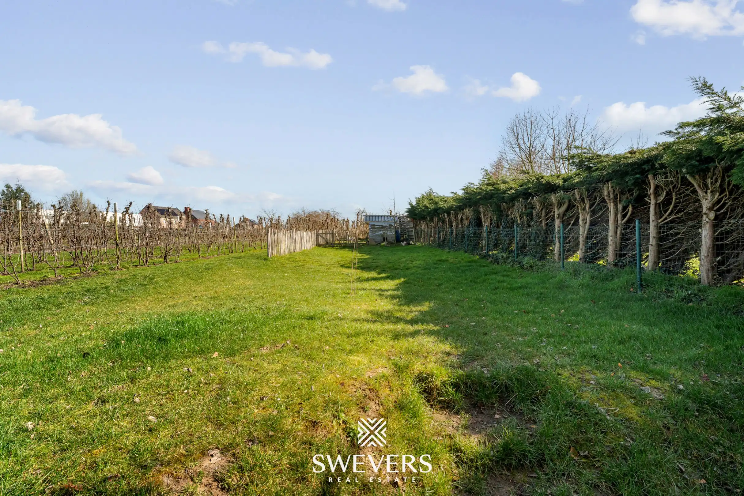 Instapklare open bebouwing met 4 slaapkamers tussen de boomgaarden in Gingelom foto 27