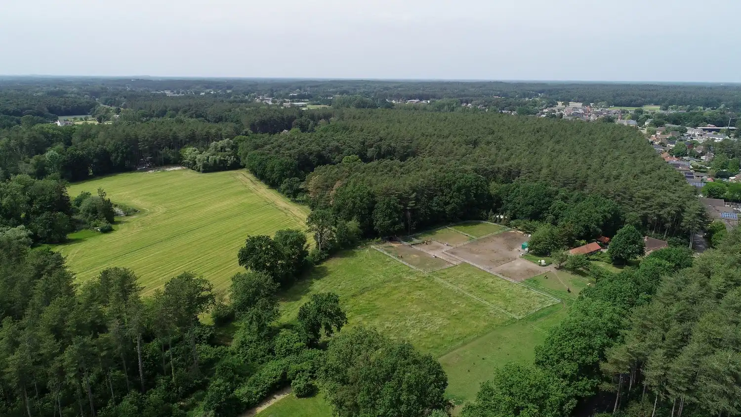 Volledig gelijkvloerse alleenstaande woning op een ruim perceel van 16a 83ca foto 27