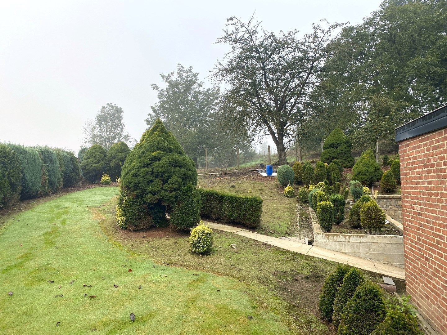 Landelijk gelegen woning met polyvalent bijgebouw + weide te Lauw Tongeren  foto 4