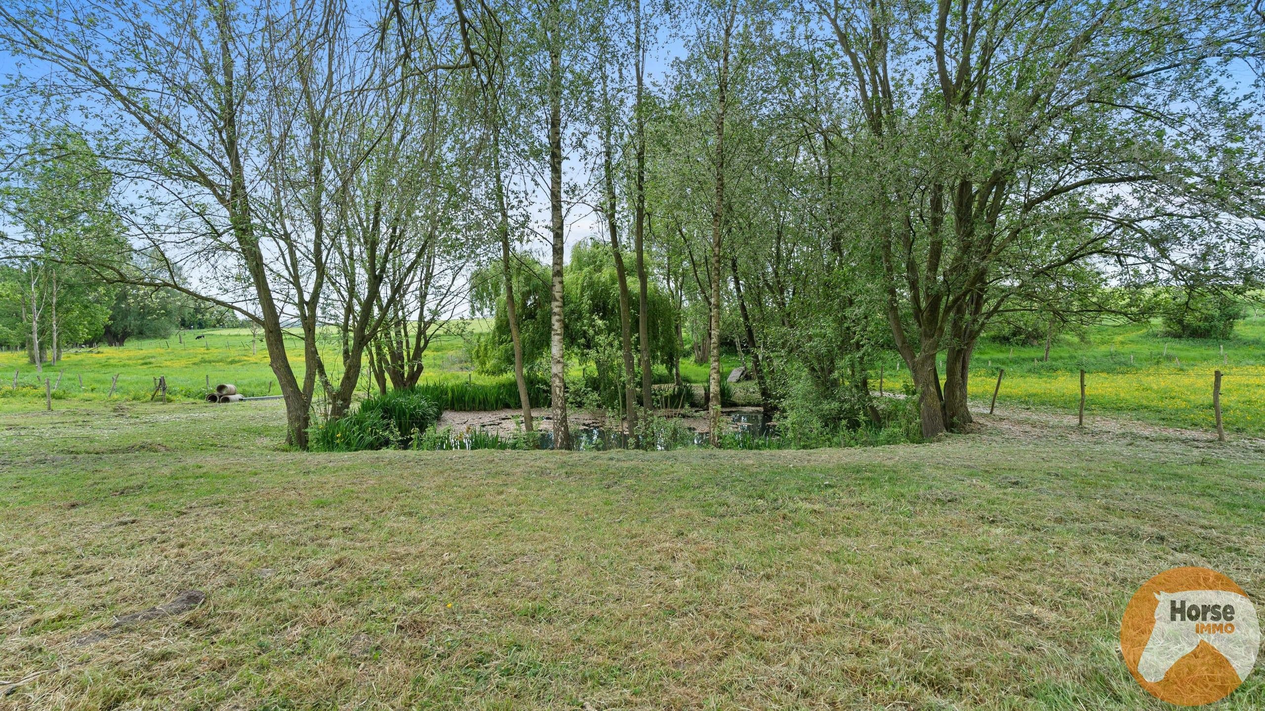 ZOTTEGEM - Hoeve met B&B en stallen op +/- 2,8HA foto 35