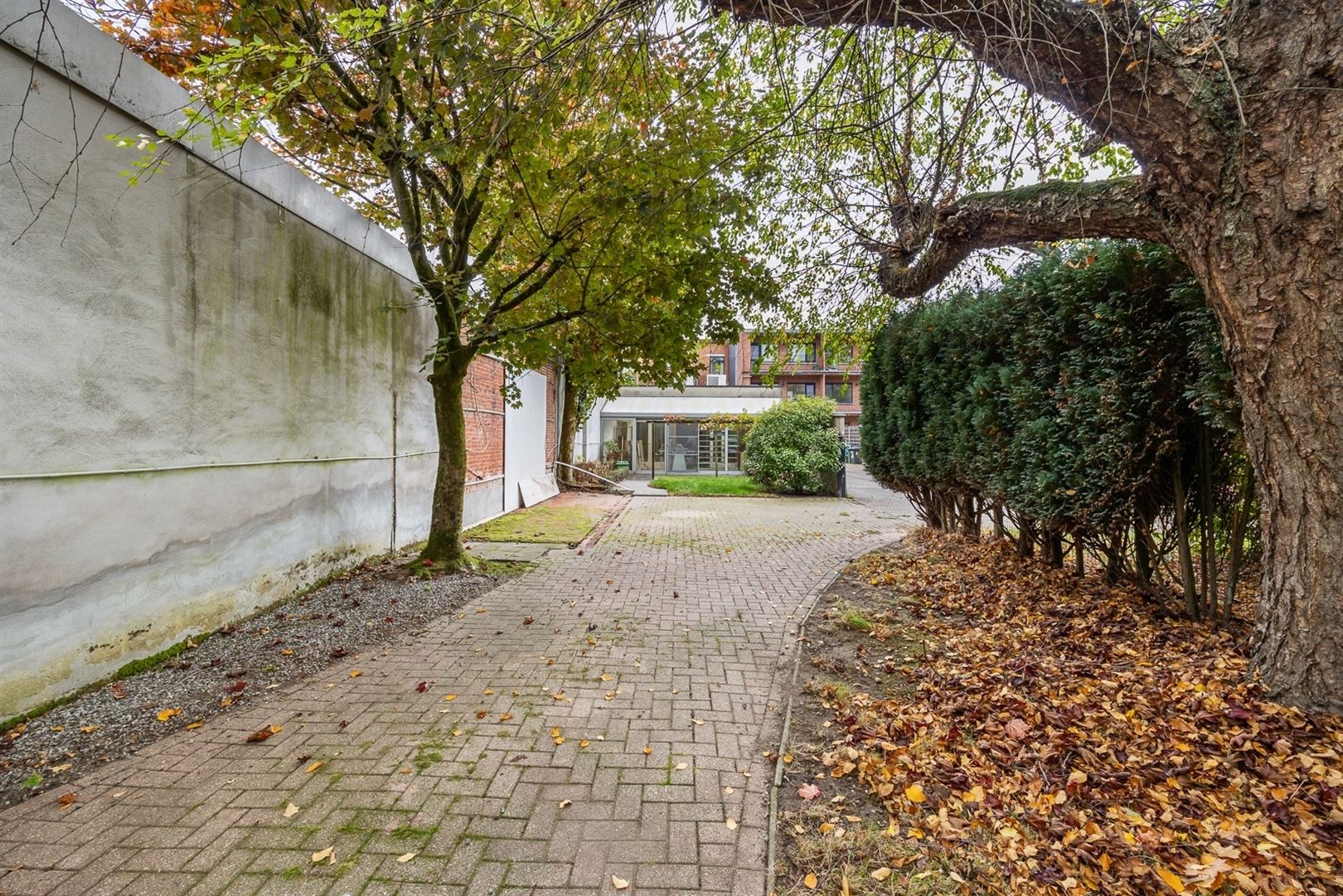 Commerciële ruimte of kantoor te MTH foto 12