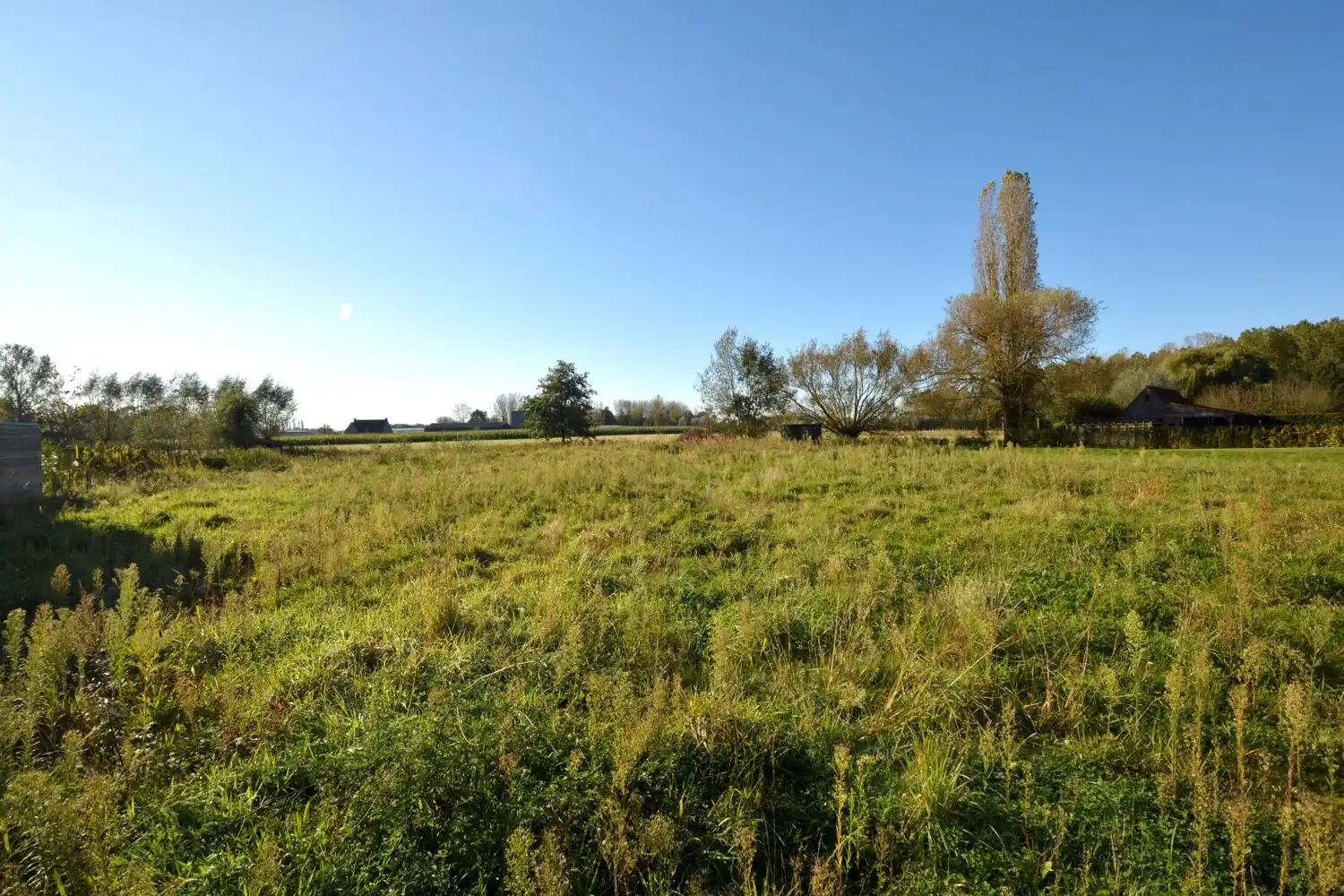 BOUWGROND 1.232 m² VOOR OPEN BEBOUWING! foto 7