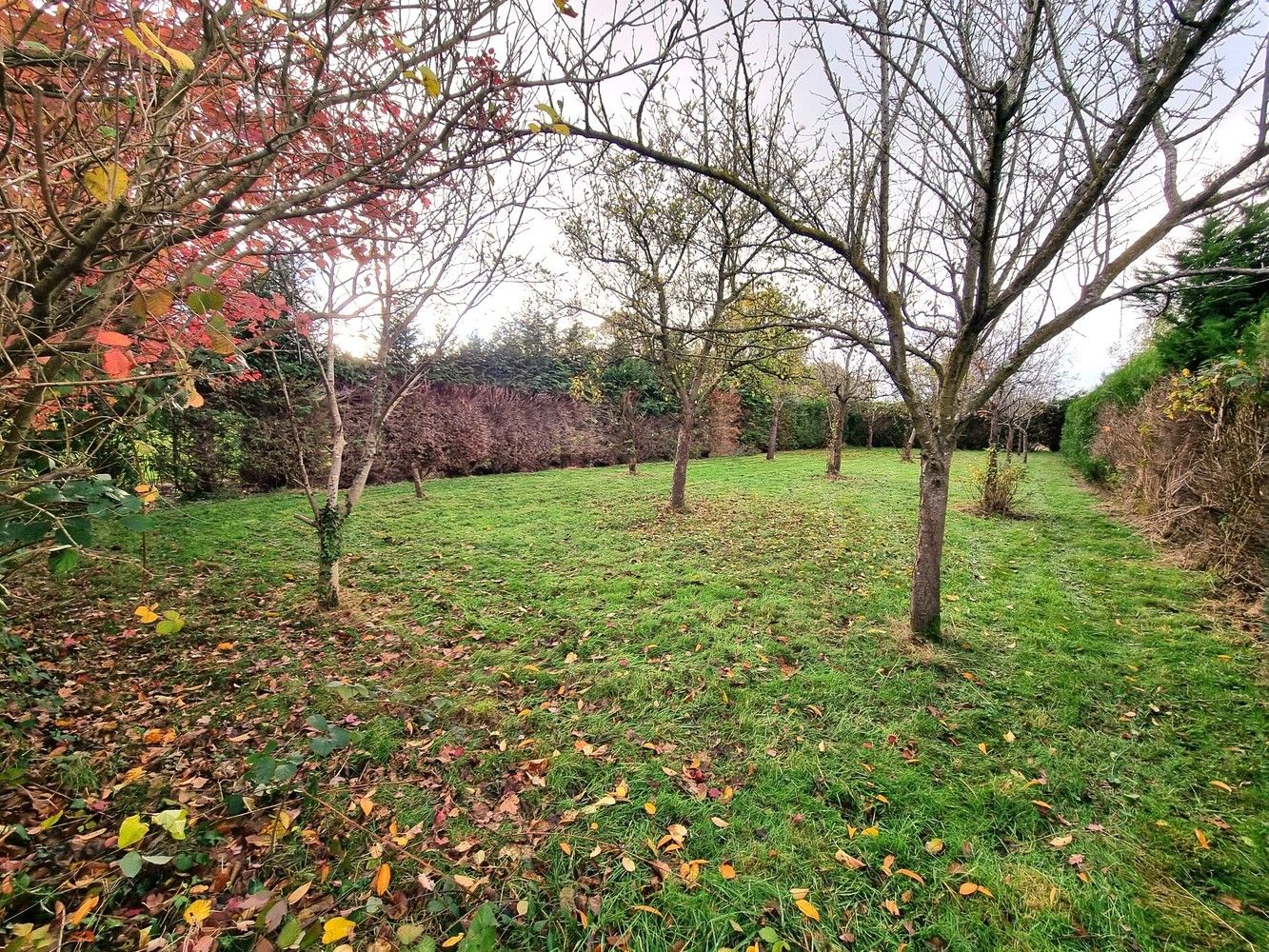 Ruime instapklare gezinswoning met prachtige tuin 28a51ca en uitstekende ligging! foto 3