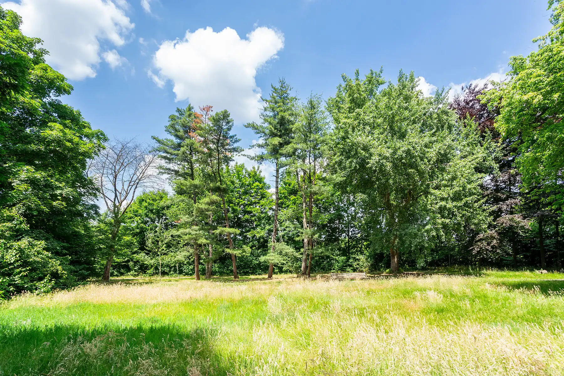 Prachtig vernieuwd app. op toplocatie + garagebox en P foto 9