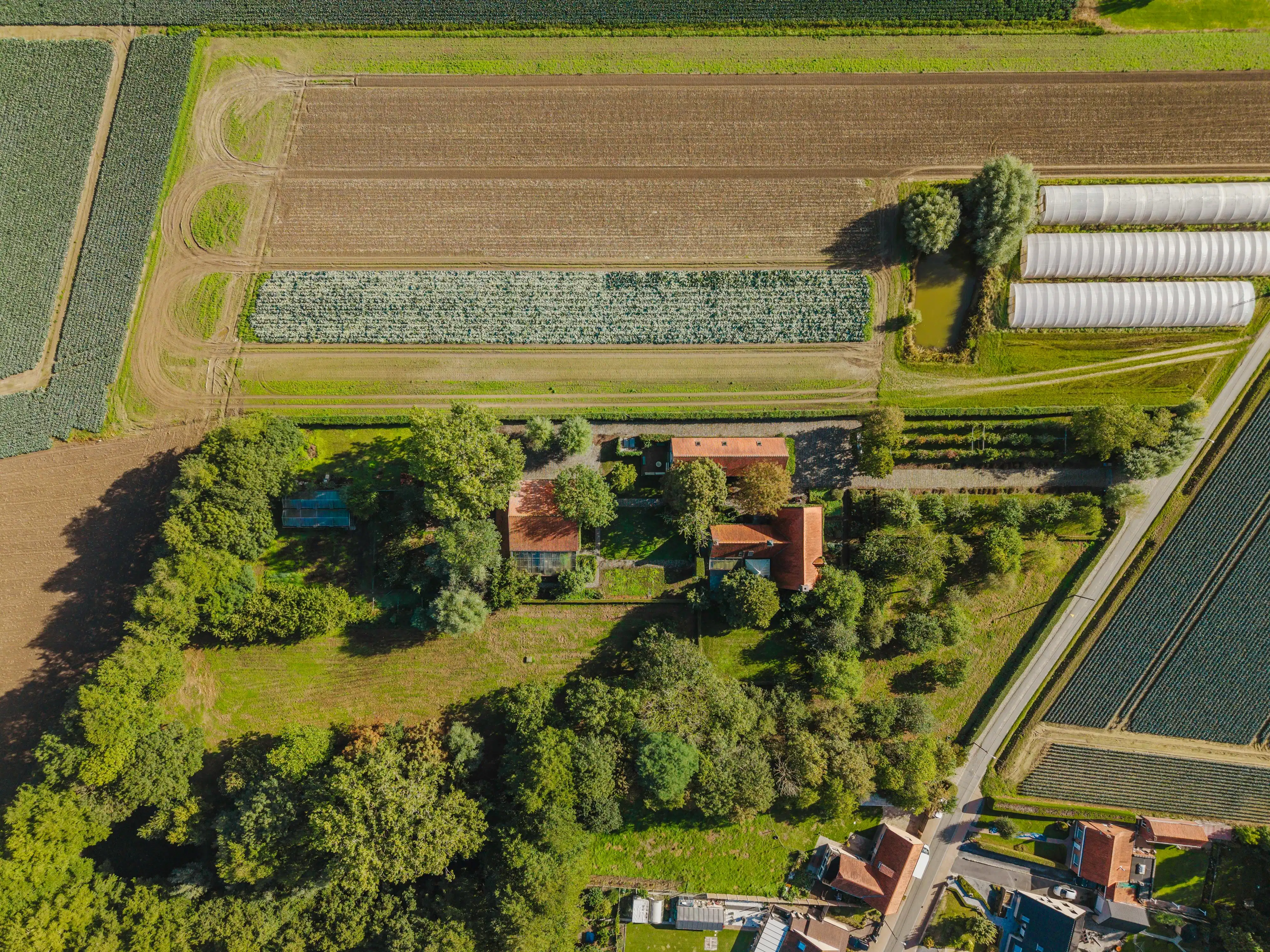 Uniek domein op 1,4 ha te koop in Houthulst foto 31