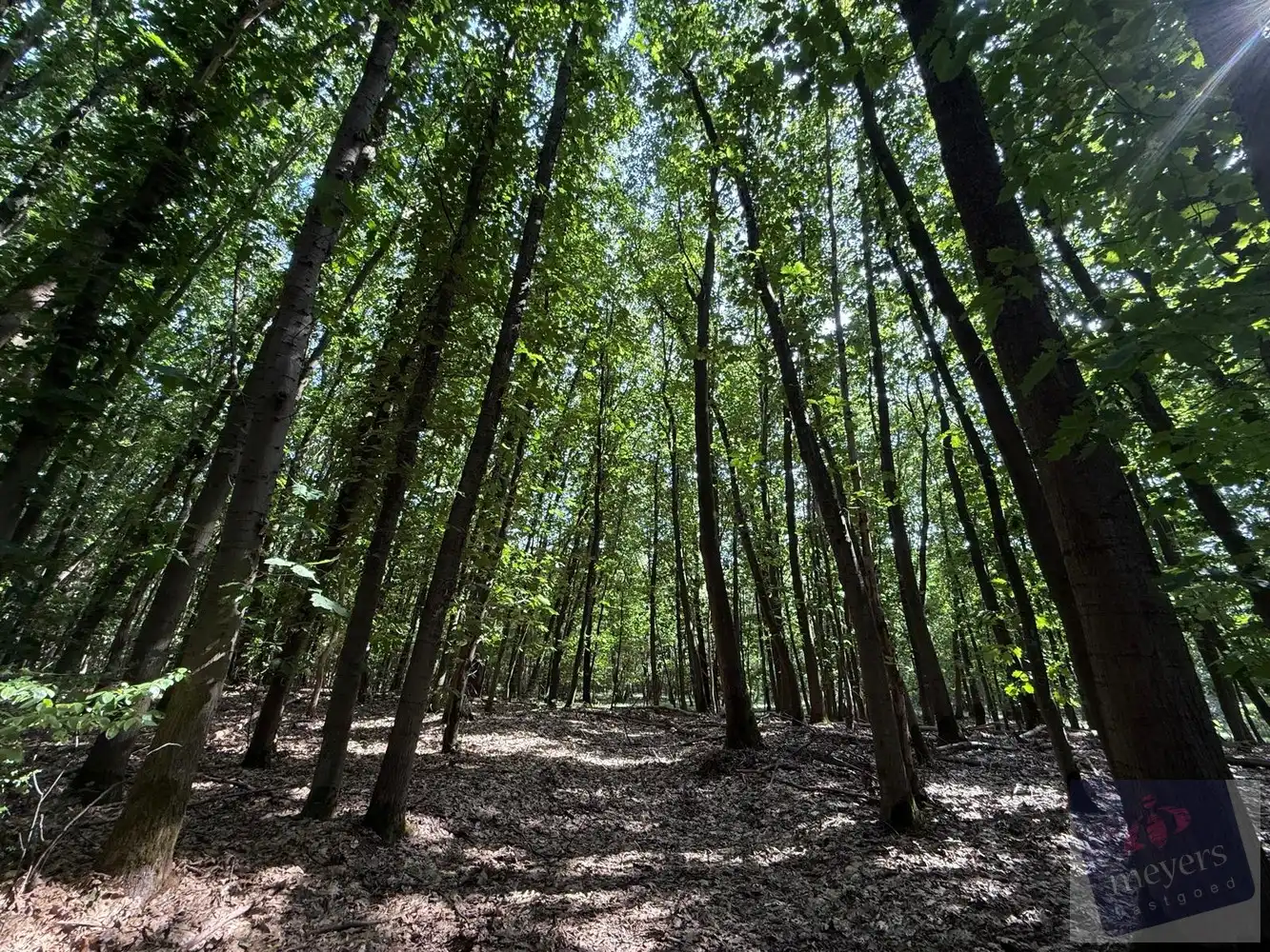 Uw eigen stukje natuur in Houthalen-Helchteren – Voornstraat (10 are) foto {{pictureIndex}}