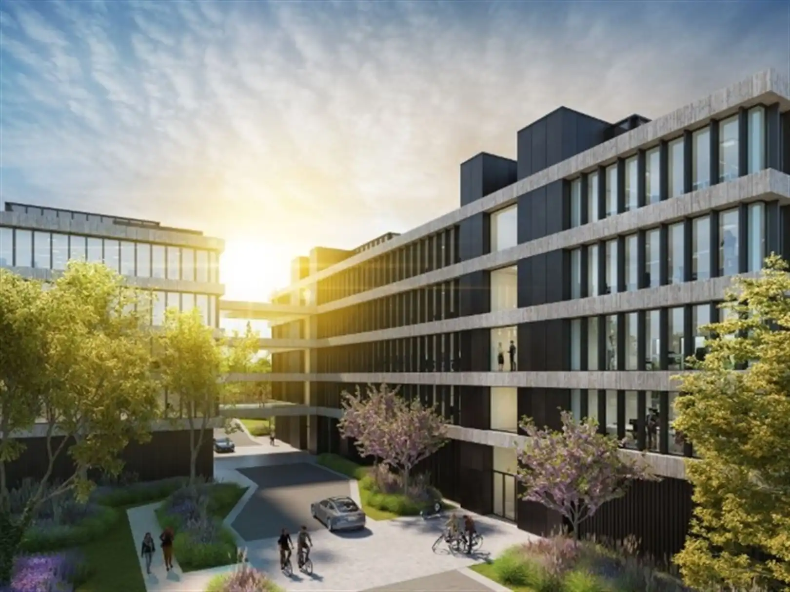 3 LINDEN: kantoren vanaf 650m² foto {{pictureIndex}}