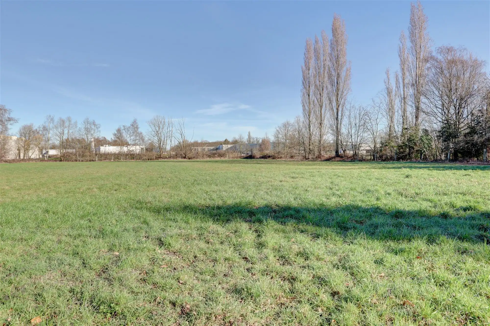 Idyllische paardenweide / bosgrond in Bonheiden foto 3