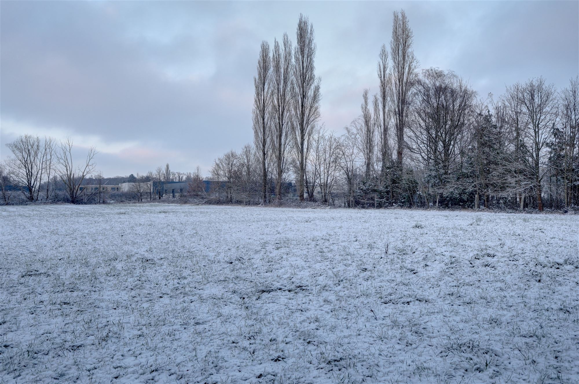 Idyllische paardenweide / bosgrond in Bonheiden foto 3