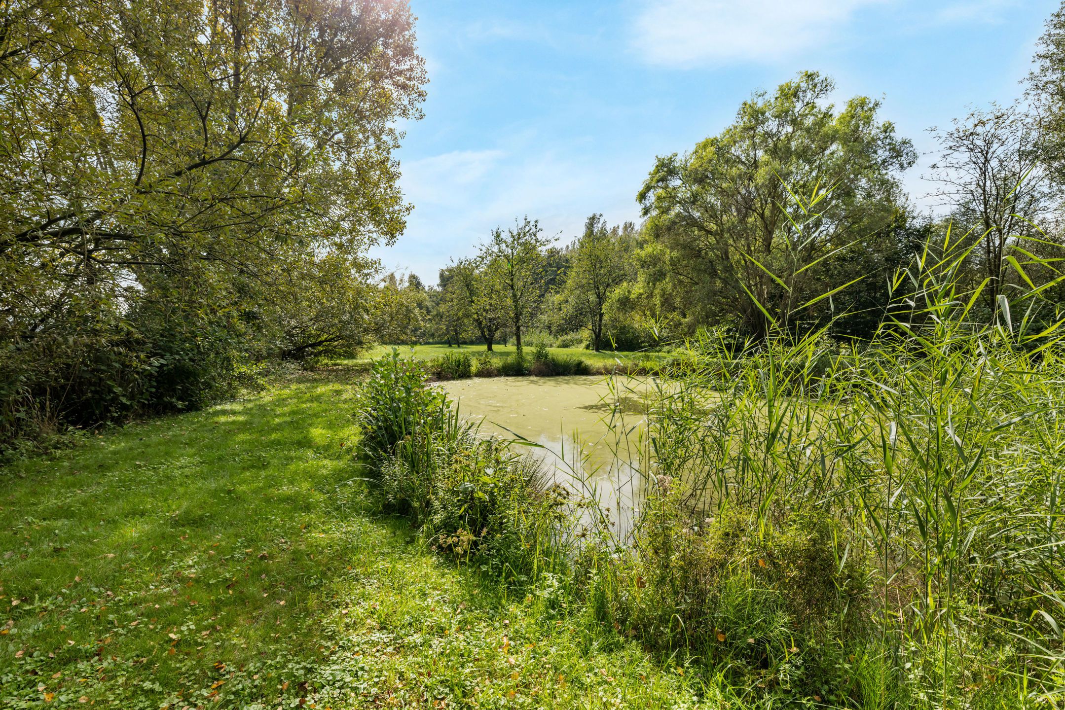 Exclusieve Villa met zwembad langsheen de Scheldedijk foto 35