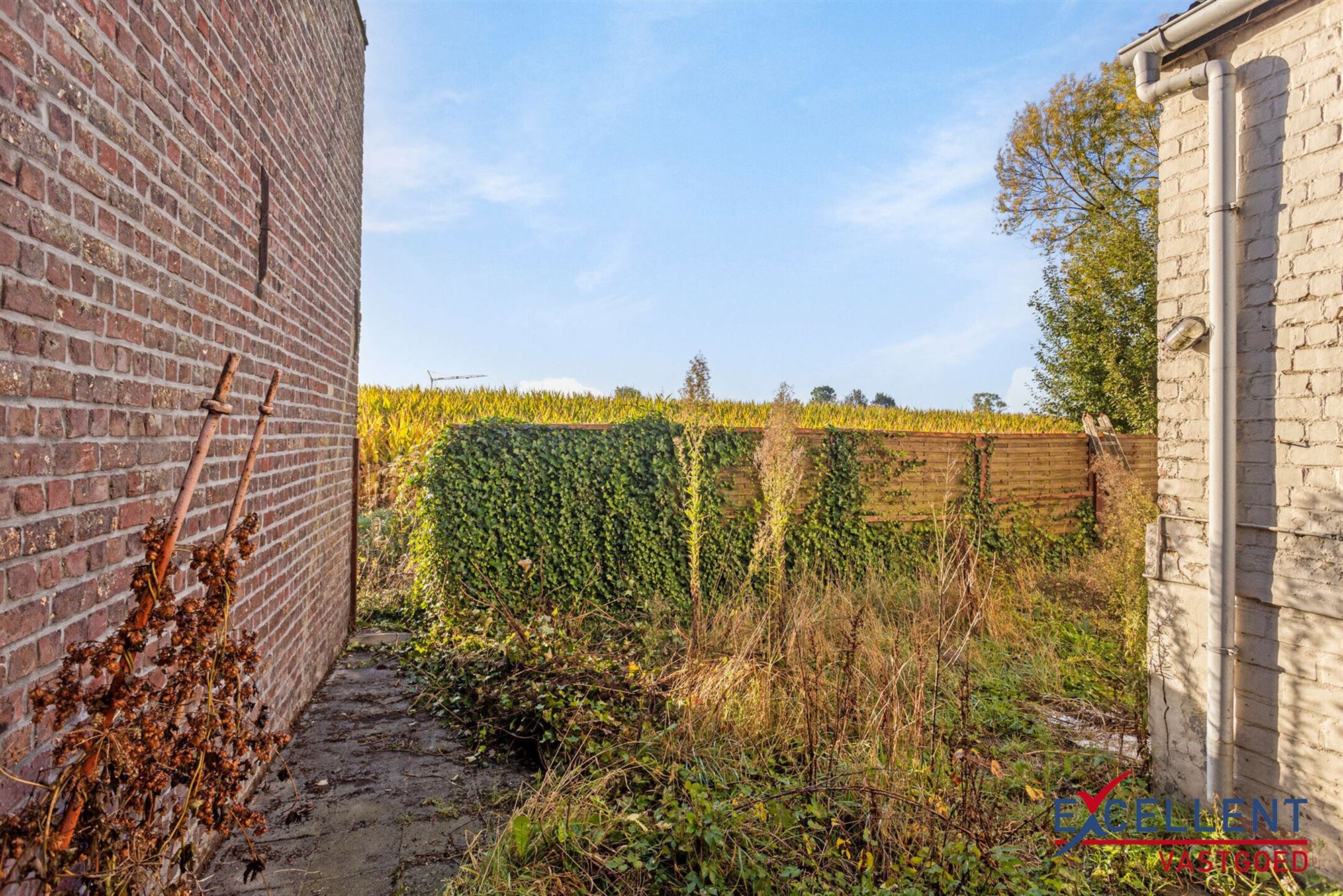 Te renoveren woning met veel commercieel potentieel te Deinze foto 13