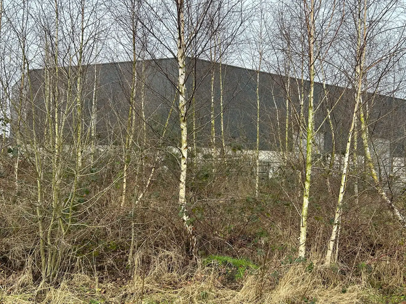 BEDRIJGSPANDEN MET KANTOREN EN MACHINES EN ROLLEND MATERIEEL foto 31