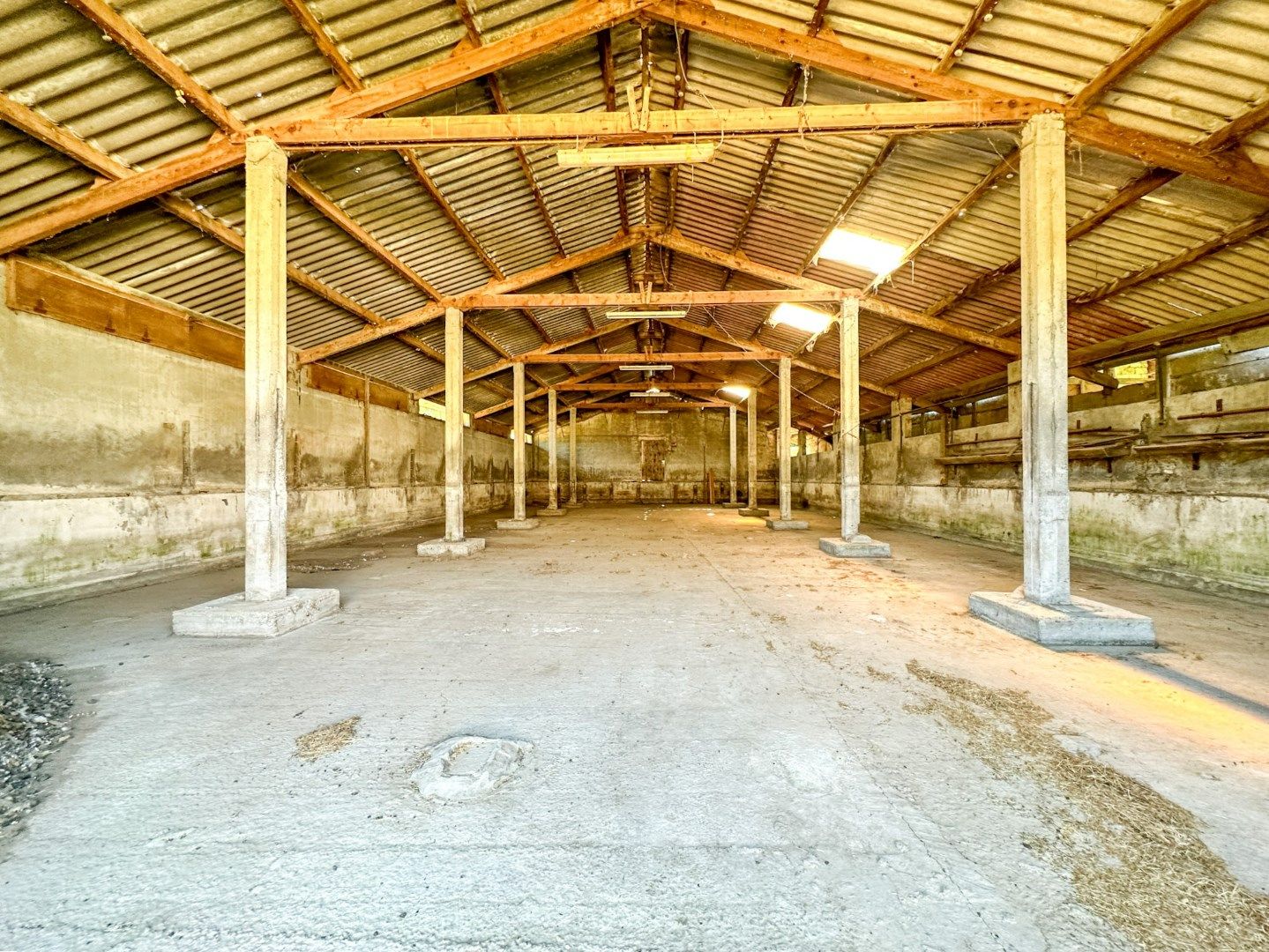 Te renoveren hoeve op unieke ligging in Torhout, vlak bij Groenhovebos foto 9