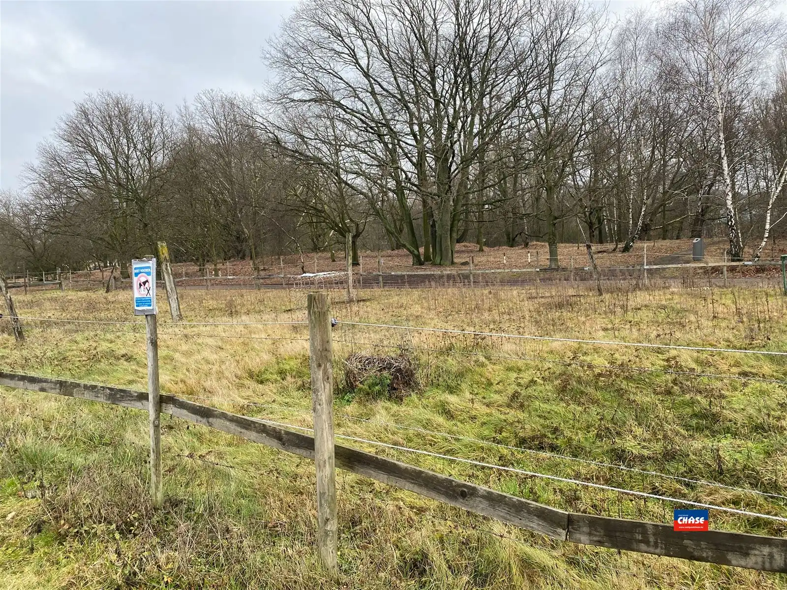 Unieke weiland - grondgebied | 20.251m² foto 5