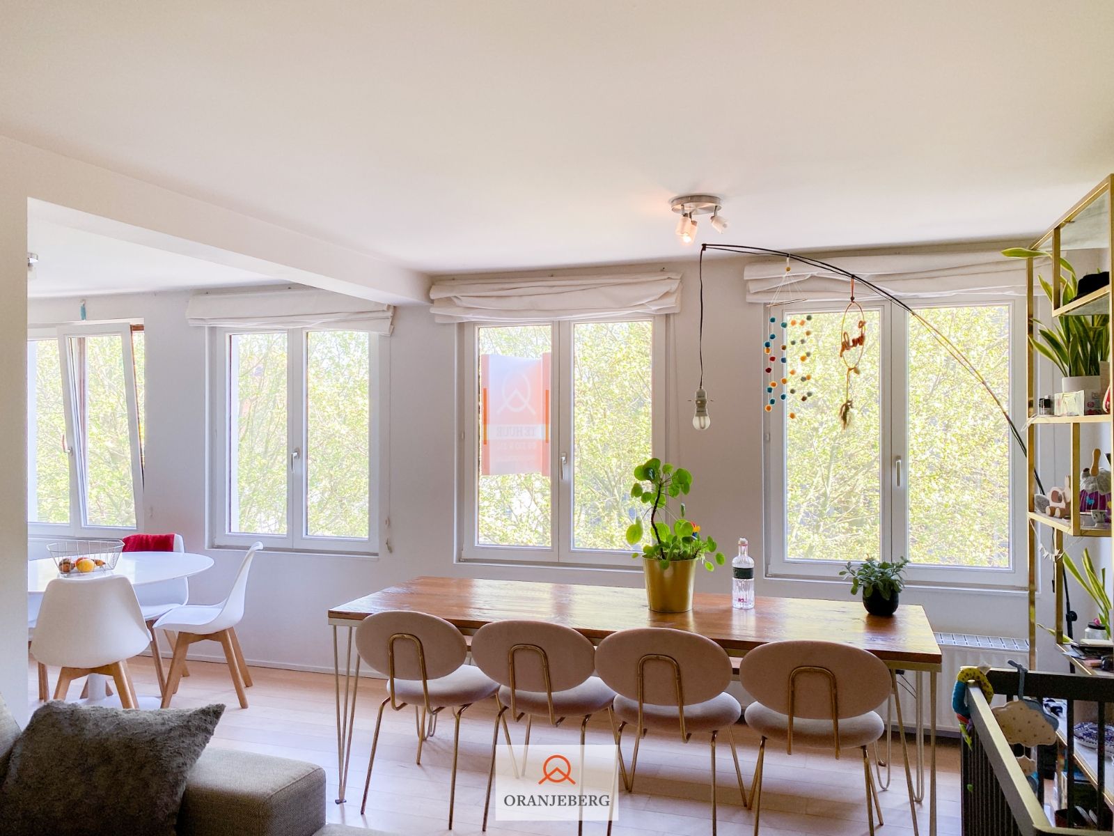 Prachtig 3-slaapkamerappartement met terras Bij Sint Jacobs foto 4