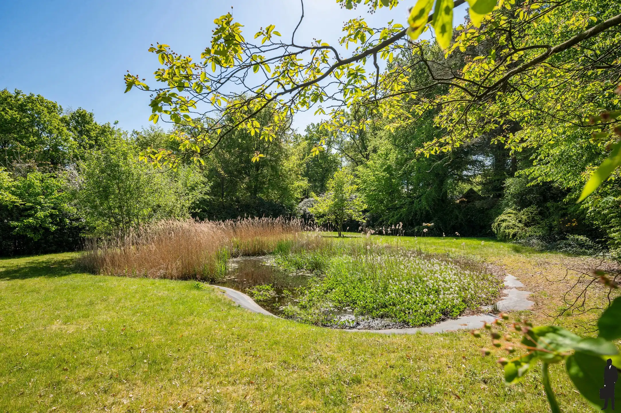 Een volledig te renoveren gelijkvloerse villa (heden kantoor) op ca. 2.438 m² foto 6