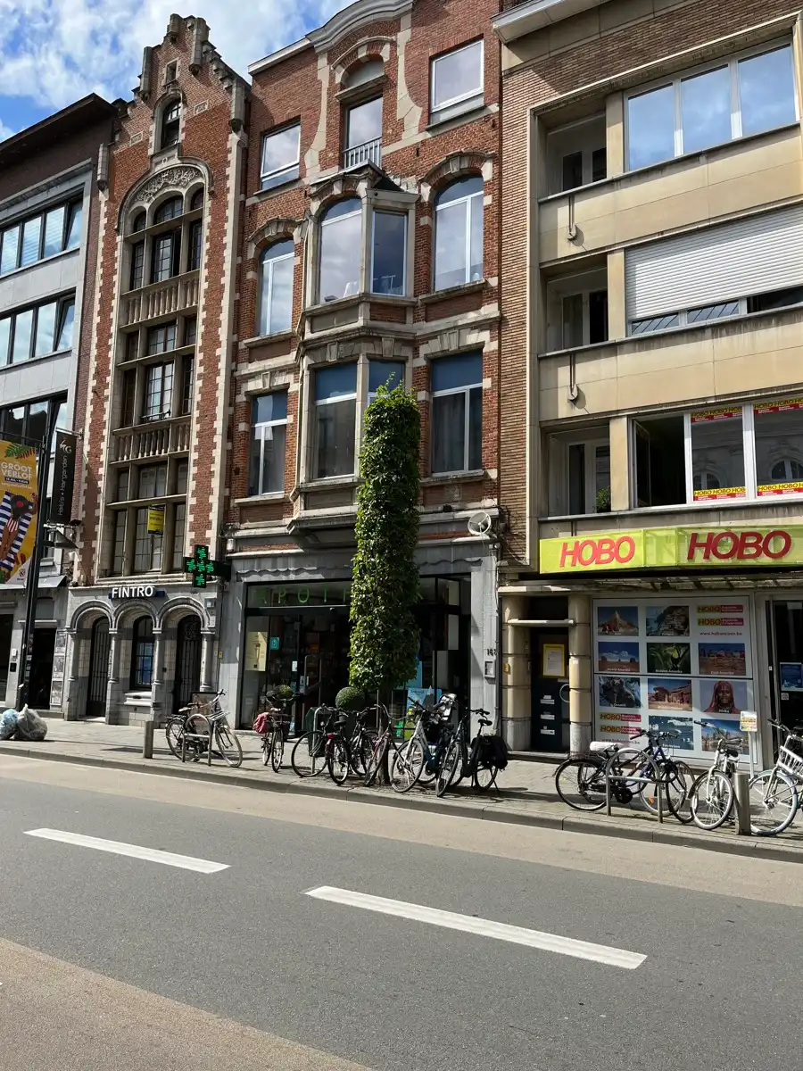 Gerenoveerd dakappartement in het centrum foto 2