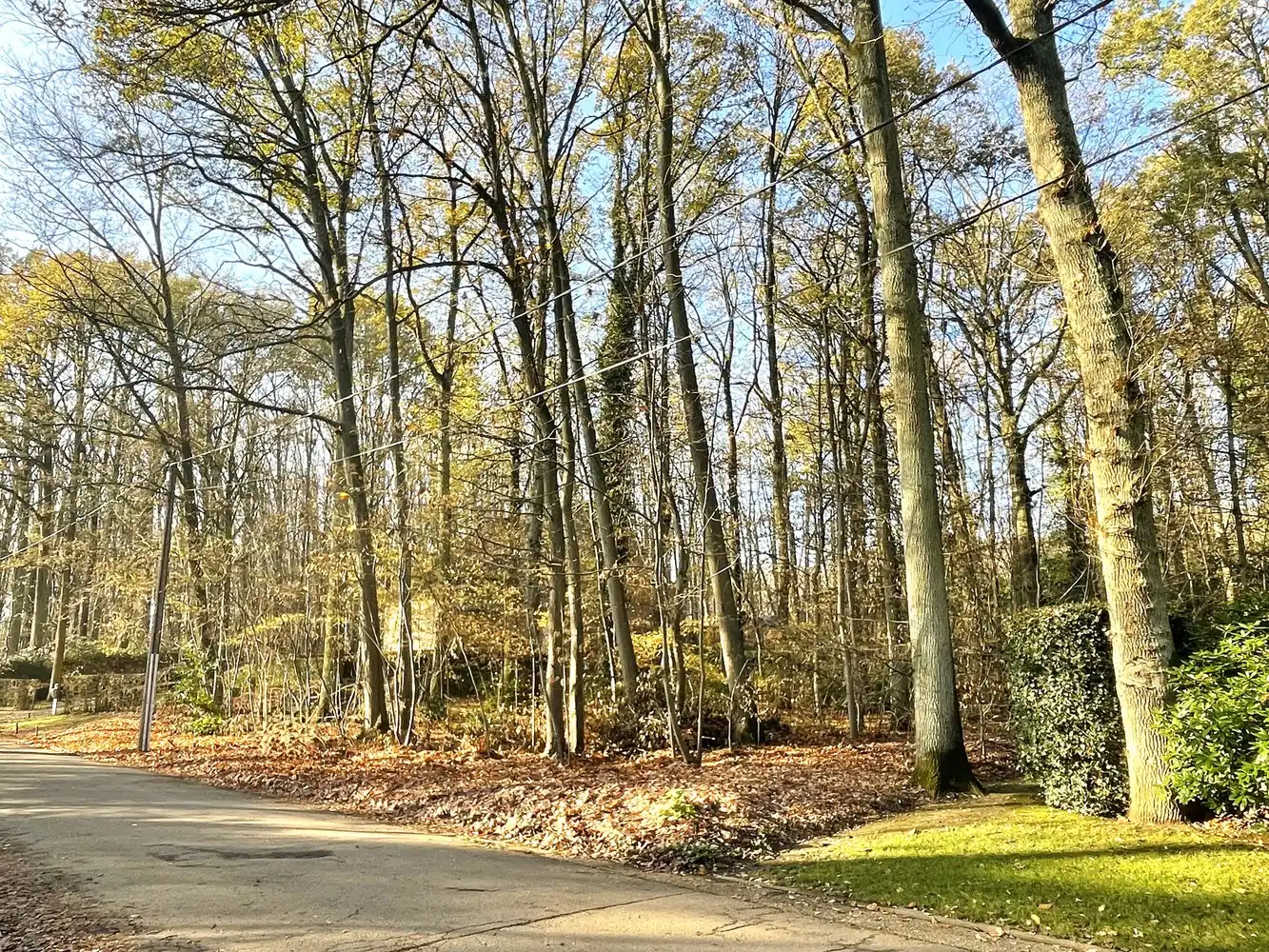 Exclusief perceel bouwgrond te Hoog-Linden foto 2