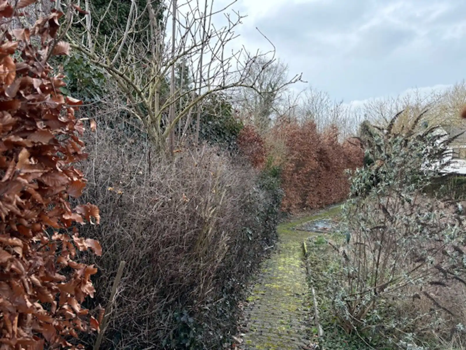 Bouwgrond halfopen bebouwing te Landen foto 4