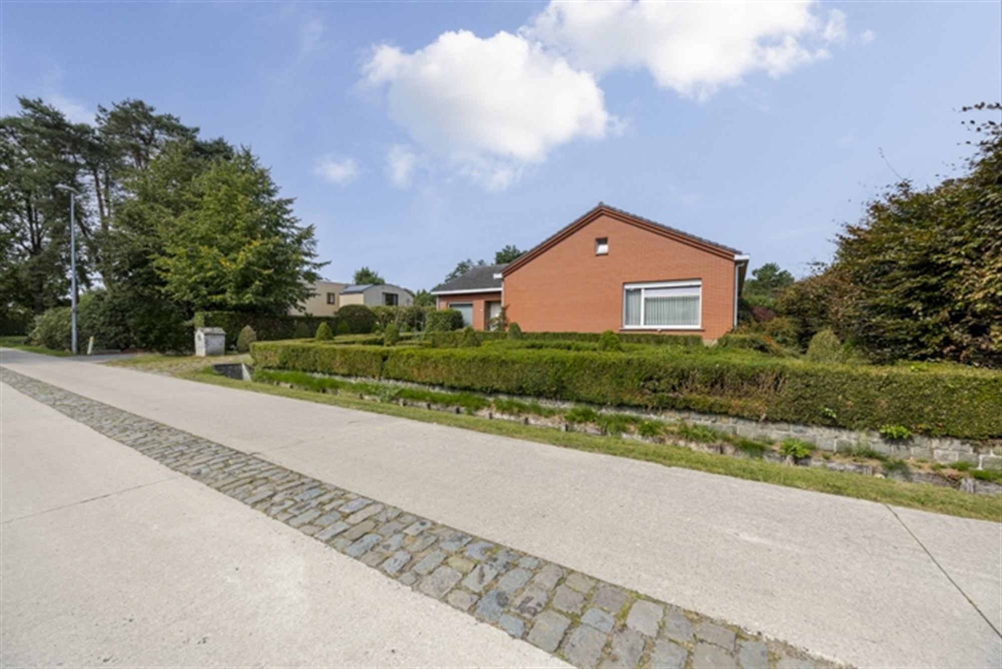 Landhuis met bijgebouwen op 3835 m² op rustige ligging foto 3