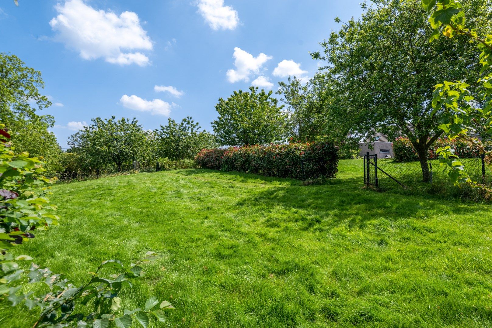 Zeldzaam! Landgoed 4035m² met quasi energie neutrale villa (322m²) te Opwijk foto 29