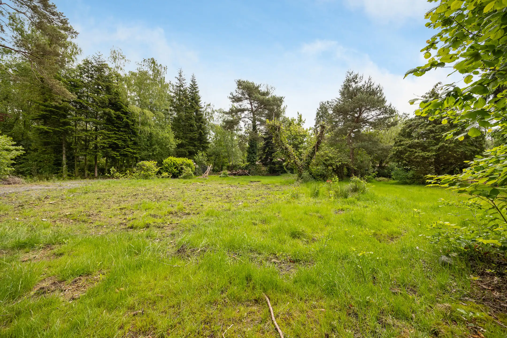 Unieke bouwgrond te koop op 1500m2 foto {{pictureIndex}}