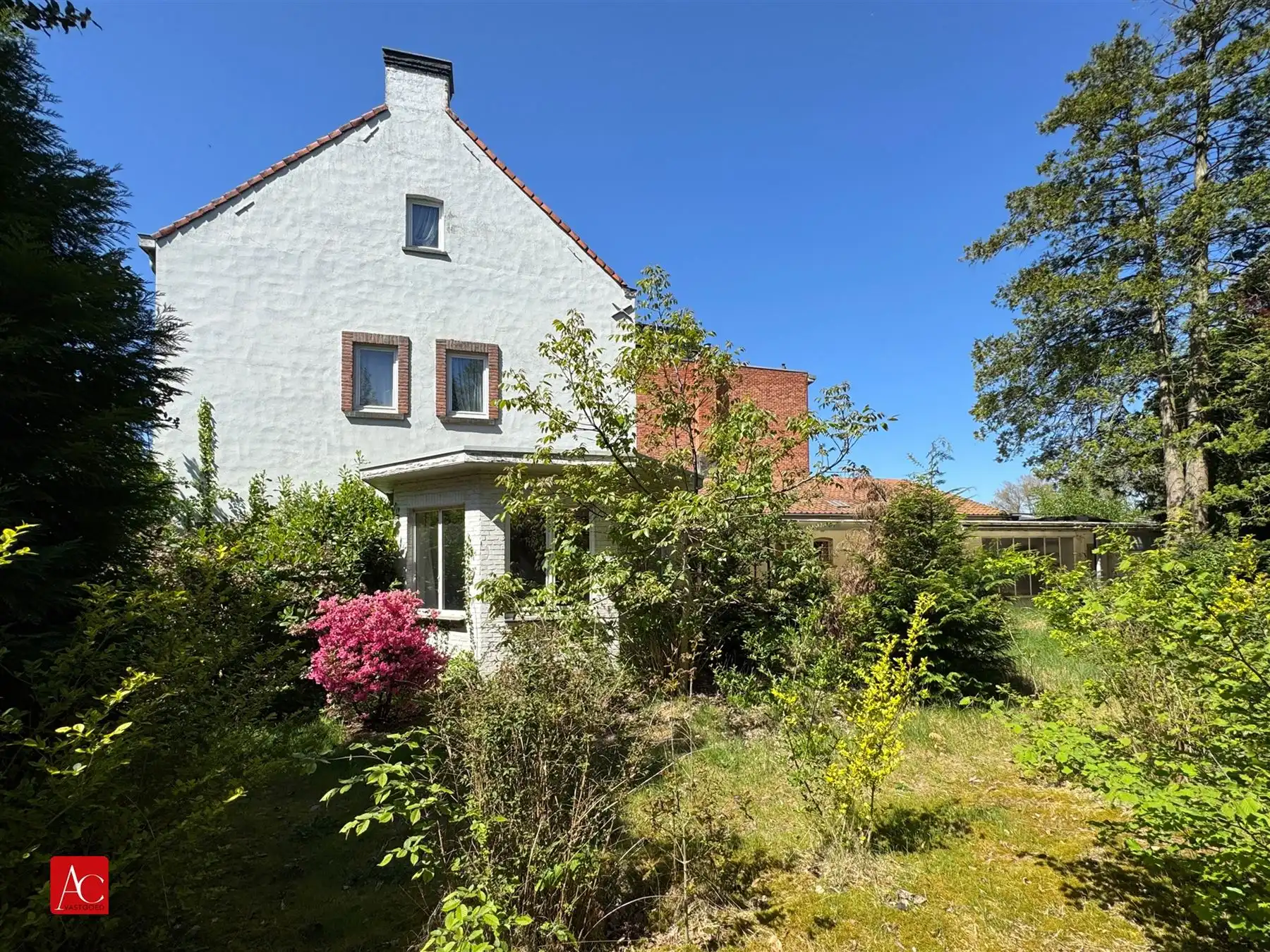 Renovatiewoning op ruim perceel of projectgrond foto 5