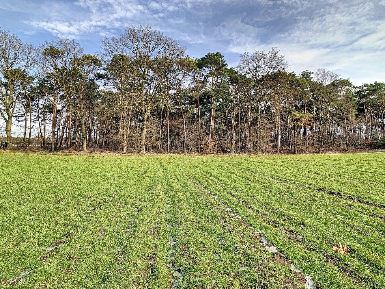 Perceel van 16.501m² aan de Kreyelerheide (bos in landschappelijk waardevol agrarisch gebied) foto 6