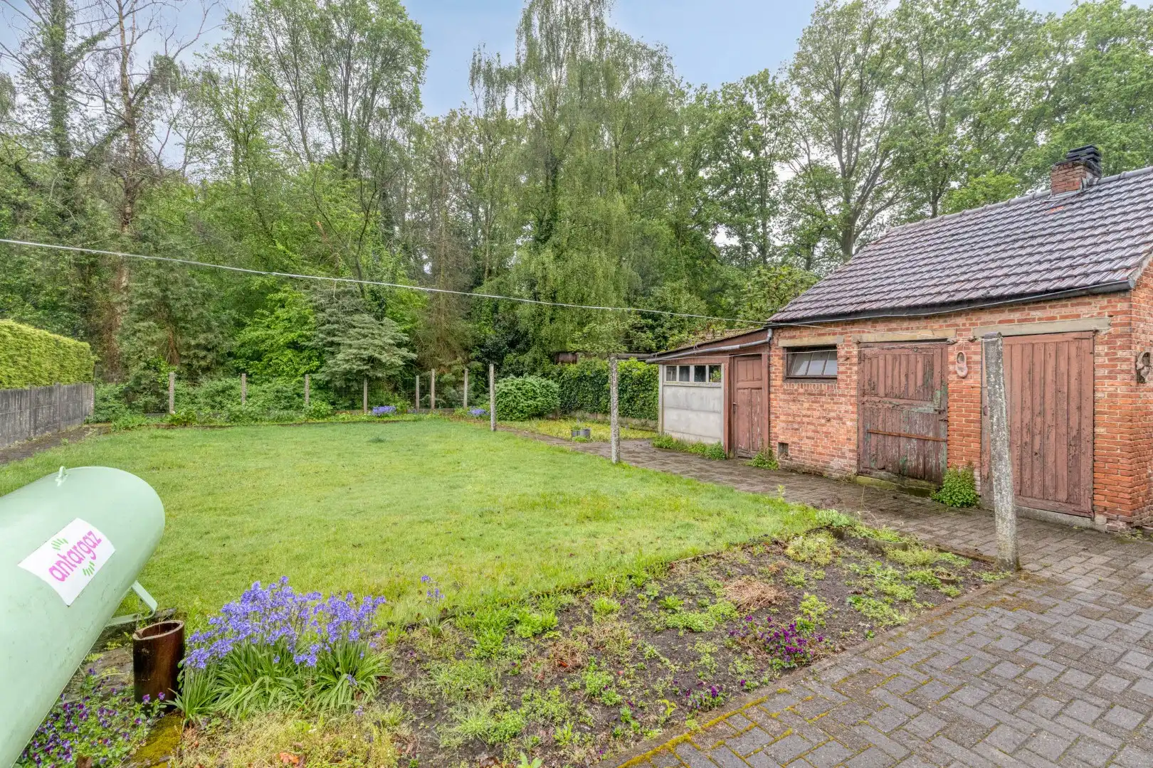 Te renoveren halfopen woning met 3/4 slpks op 542 m² (zuidgericht) te St.-Jozef-Olen ! foto 3