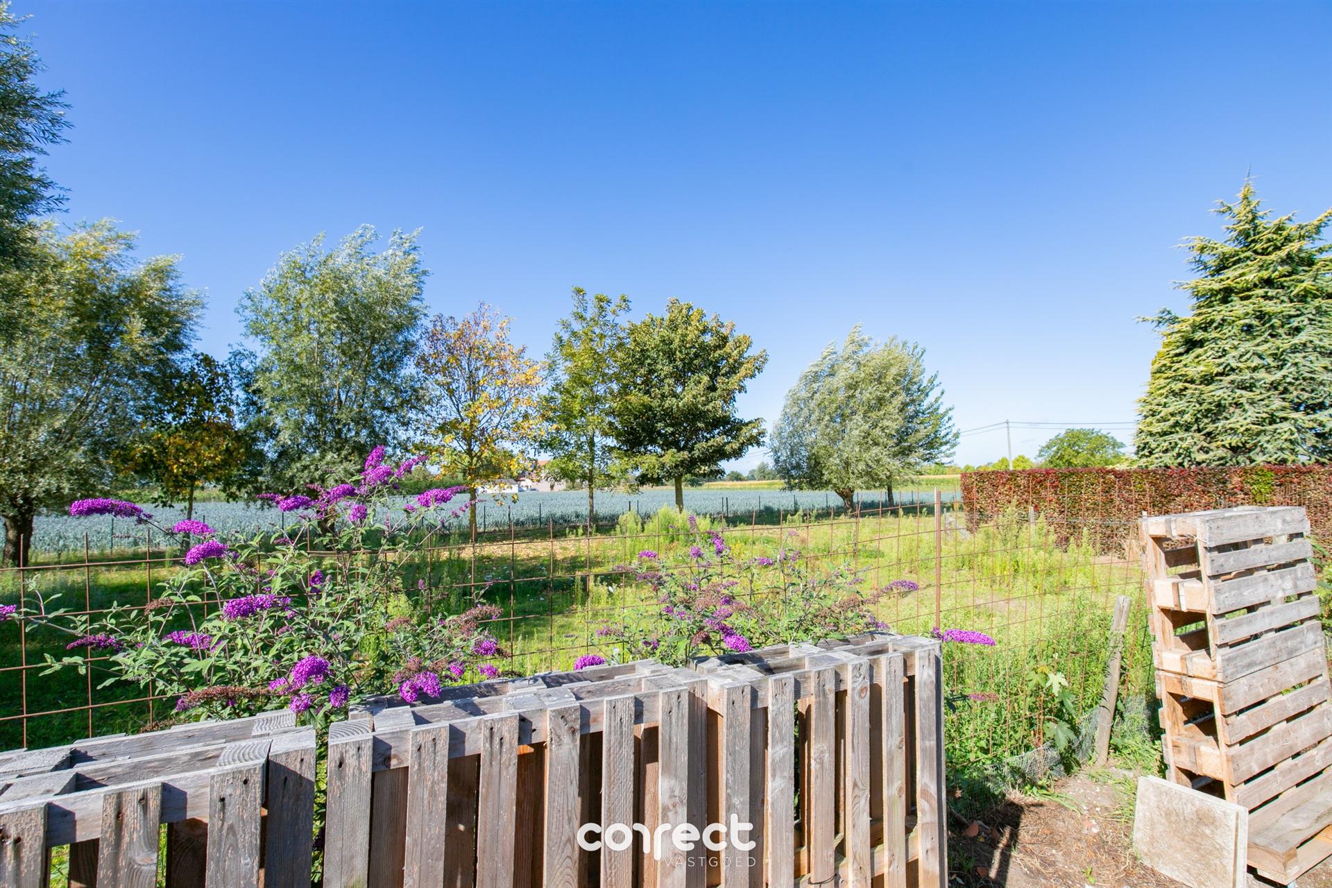 Instapklare laagbouwvilla met tuin, ruime oprit met garage.  foto 20