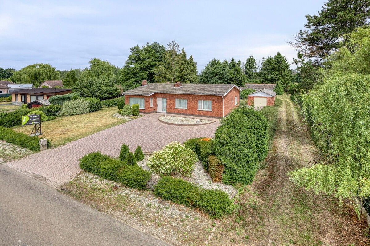 Hoofdfoto van de publicatie: Ruim ingedeelde gelijkvloers woning met 4 slpks en bijgebouw/stal op 32 are