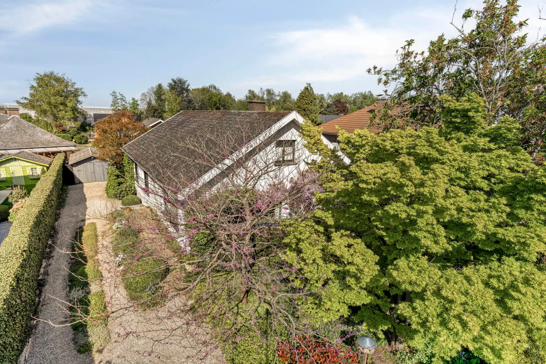 Leemans Immobiliën presenteert u deze charmante, instapklare bungalow, ideaal gelegen in het gegeerde Asse.  foto 2
