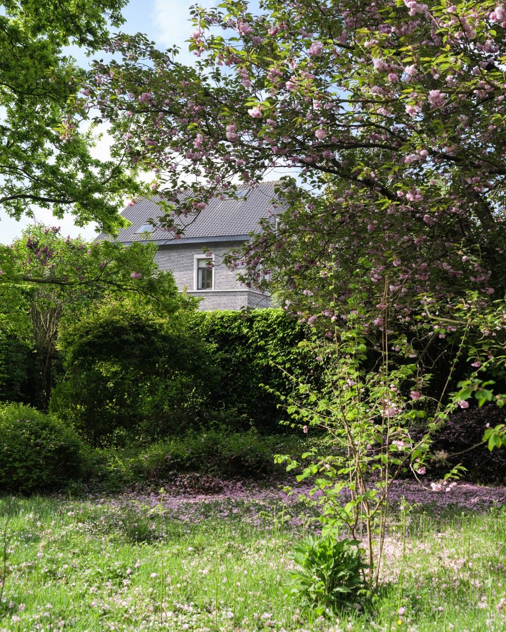 Uitzonderlijke opportuniteit Sint-Amandsberg – ‘Villa Bromelia’ - Statige en ruime woning (437m2 bvo) met een prachtig aangelegde tuin op een boogscheut van het stadscentrum – nabij de Rozenbroeken. foto 8