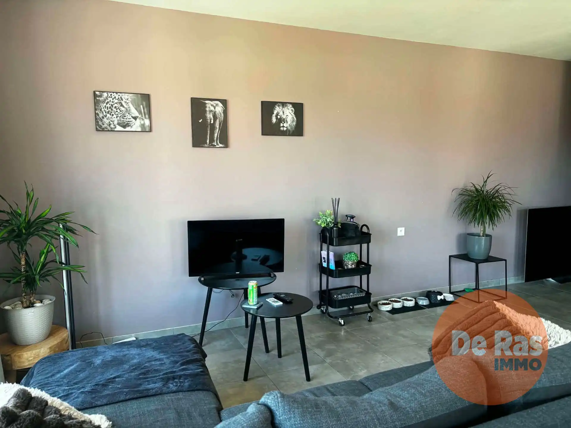 LEDE CENTRUM - KWALITATIEF NIEUWBOUWAPPARTEMENT foto 3