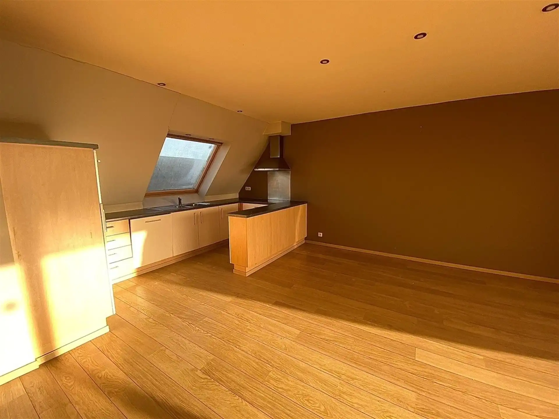 Ruim duplex-appartement met 2 slaapkamers en terras foto 3