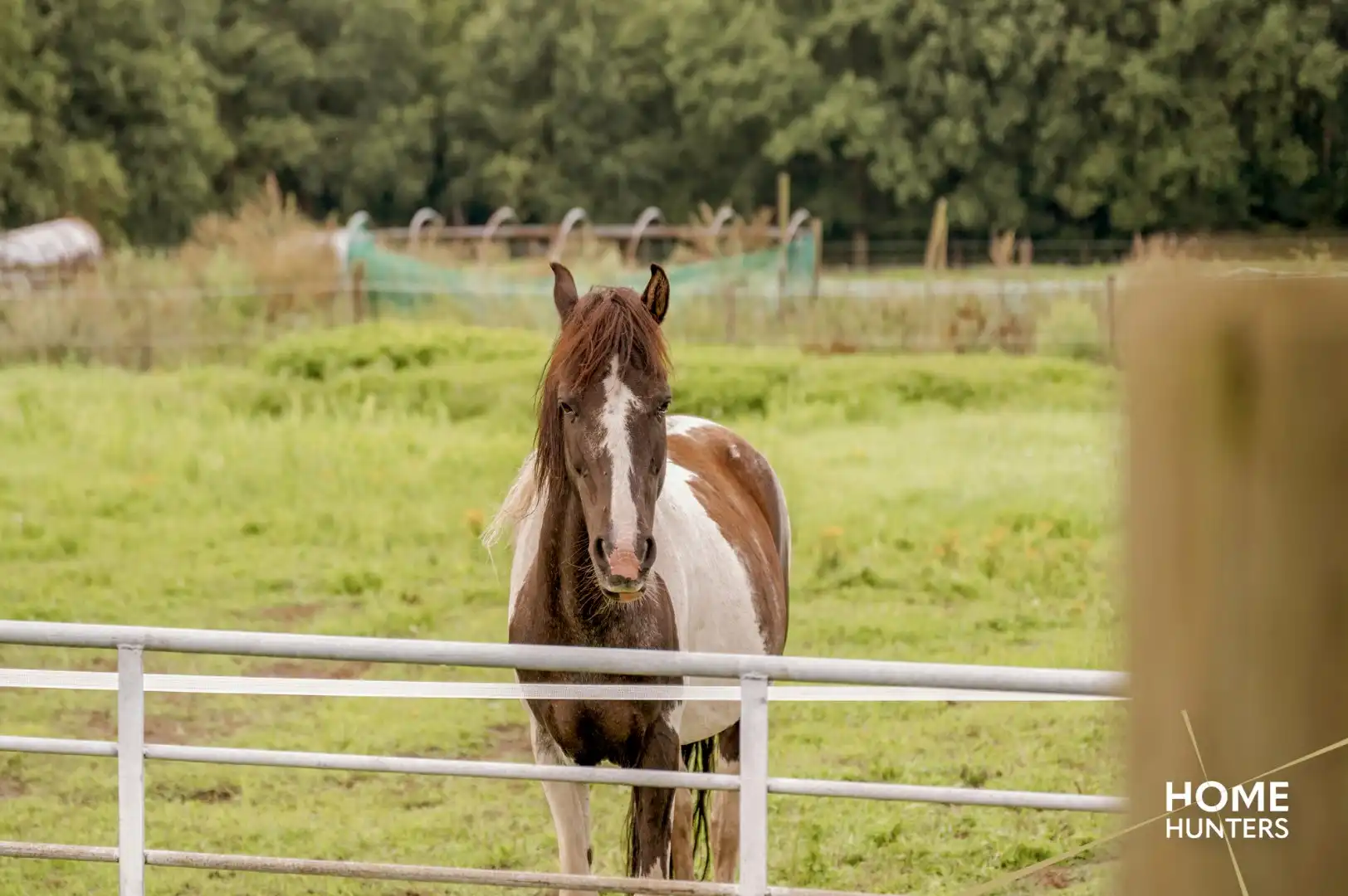 Charmante woning op een perceel van 4811 m² met paardenstallen, paddock en hooi opslagplaats foto 12