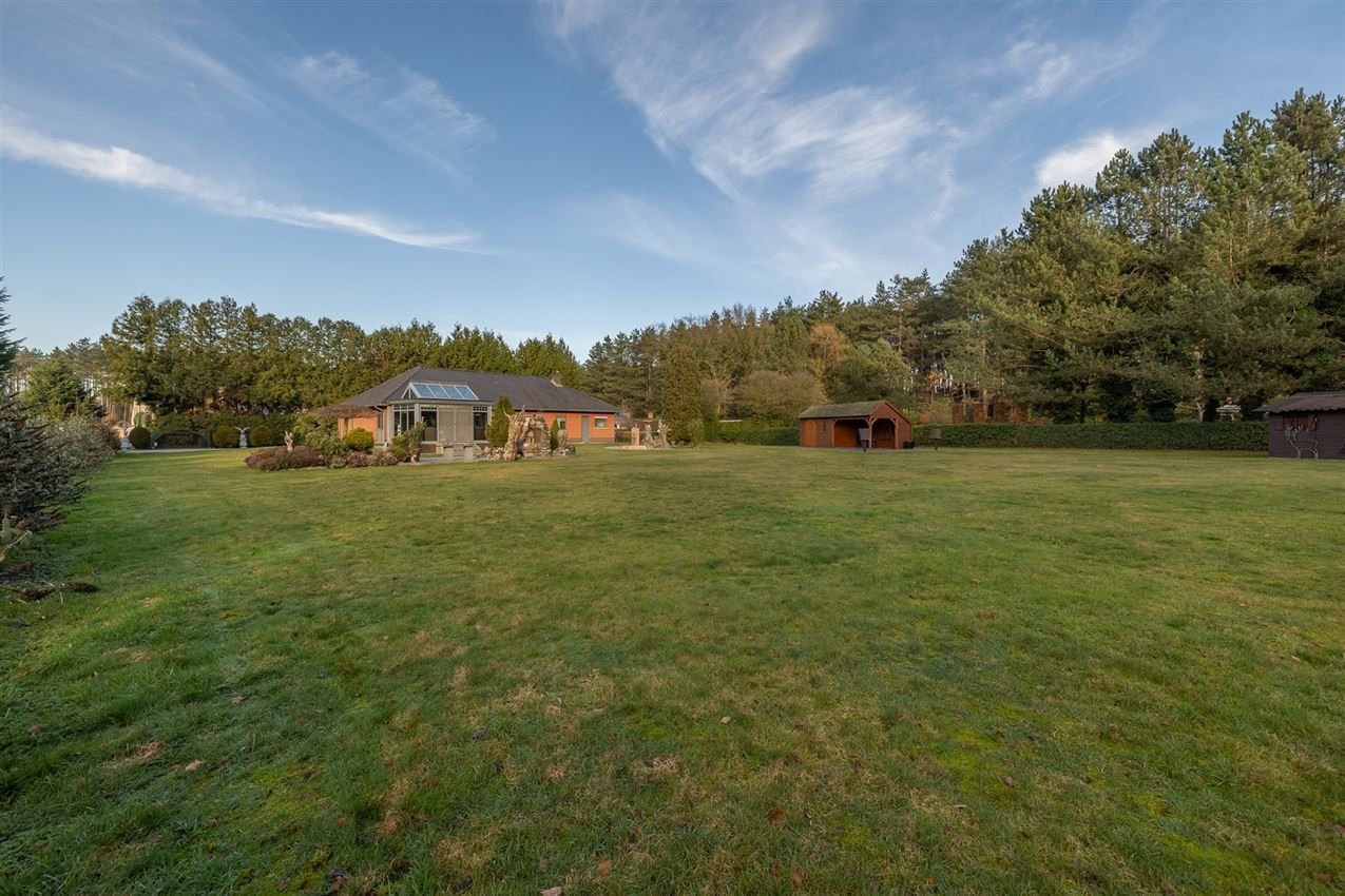 verborgen parel in het groen foto 56