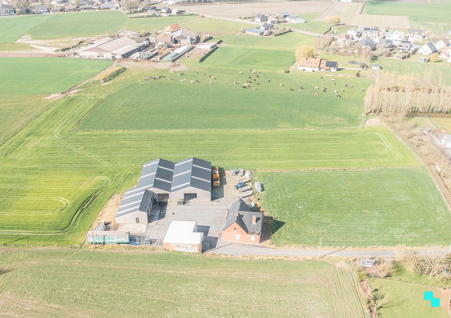 Landelijk gelegen woning met diverse loodsen foto 4