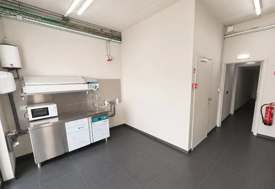 INSTAPKLAAR ENERGIEZUINIG COMMERCIEEL GELIJKVLOERS 390 M2  OP ZICHTLOCATIE HOUTMARKT foto 4