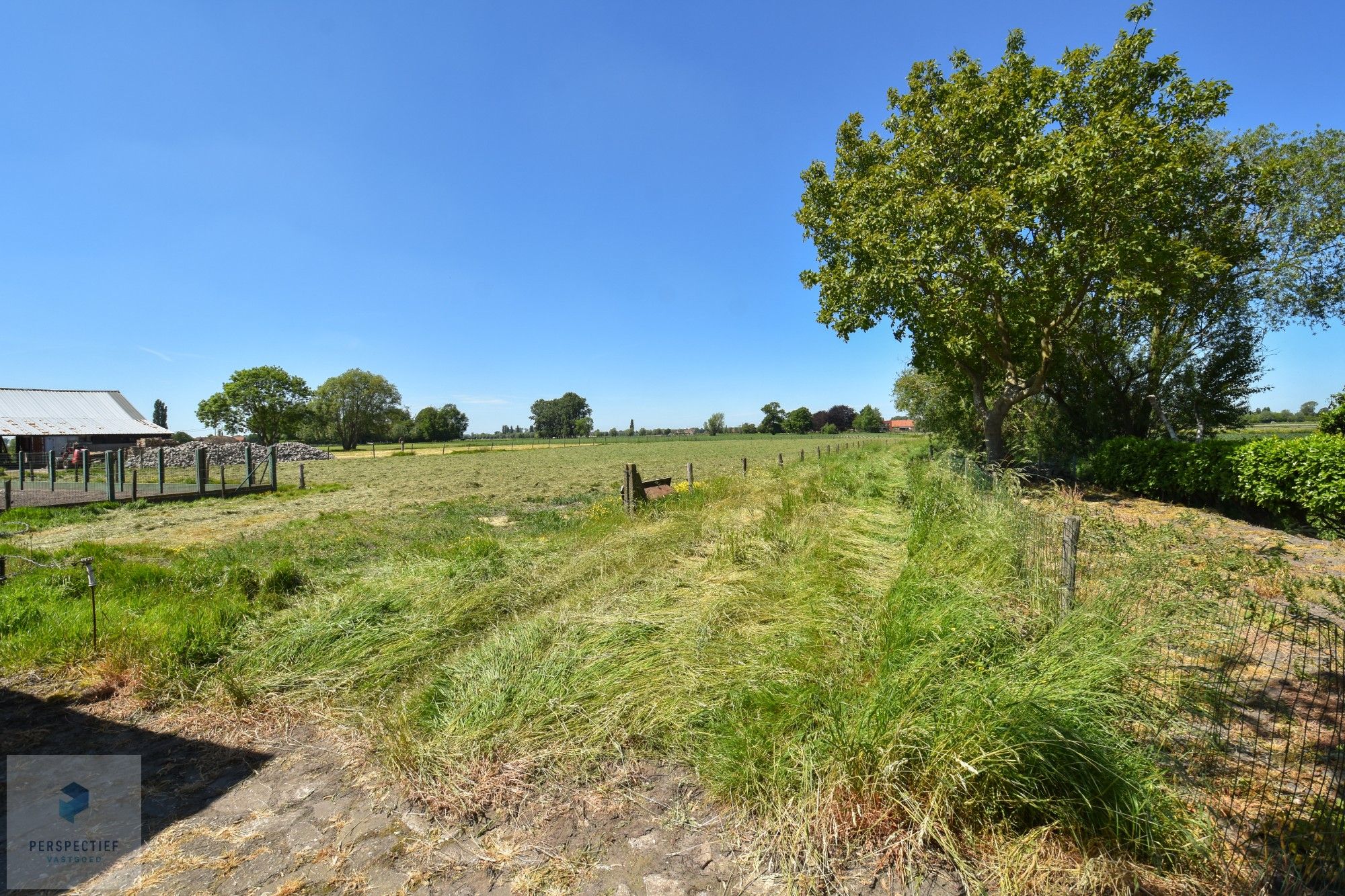 LANDELIJK gelegen woning met bijgebouw, stalling en WEILAND op 7.421 m² foto 4