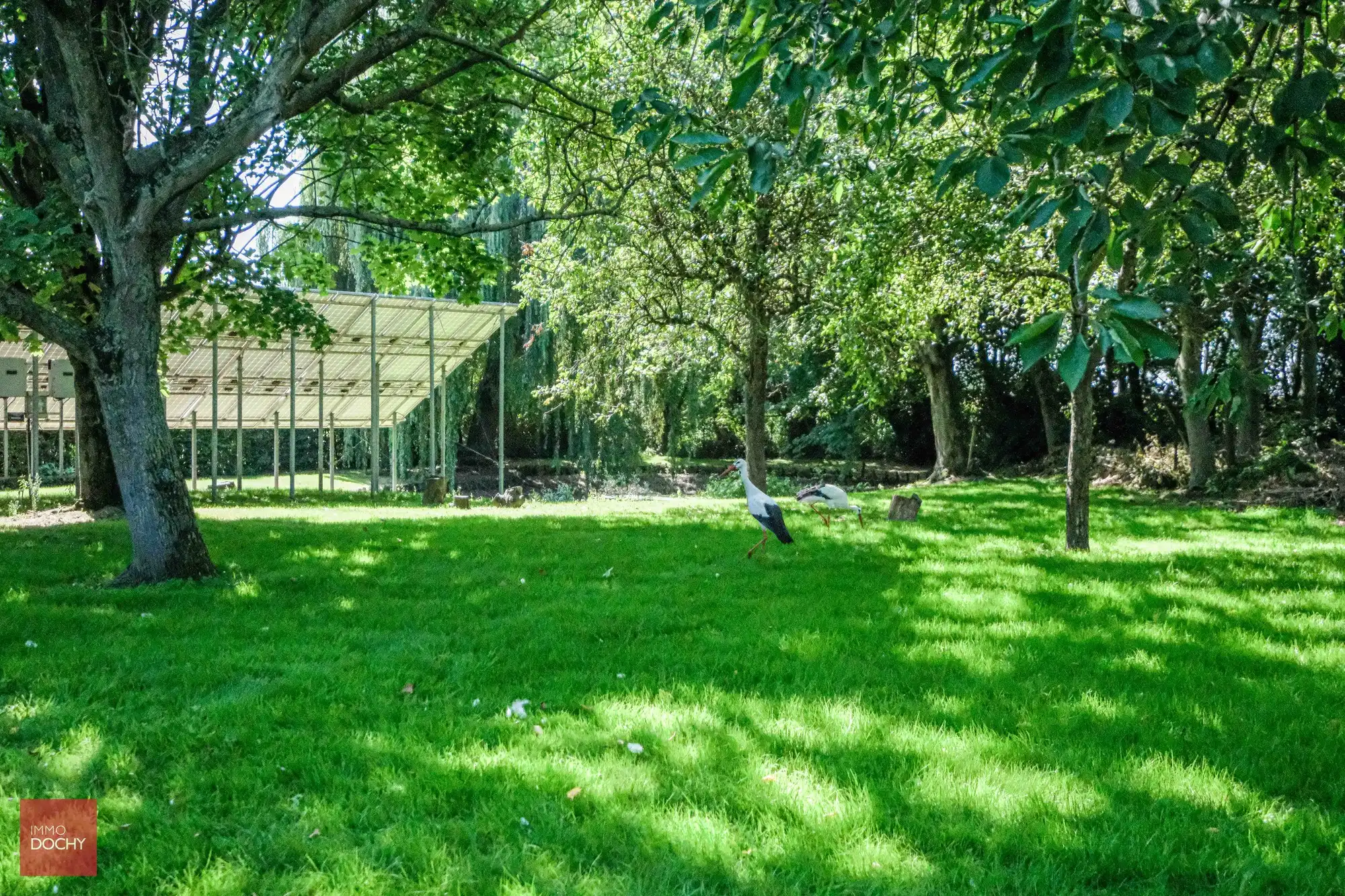 Ruim villa-landhuis met zwembad en poolhouse foto 12