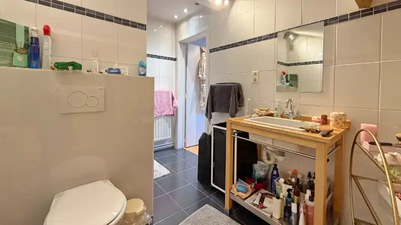 Charmante vernieuwde villa van 231m² op 20 are foto 19