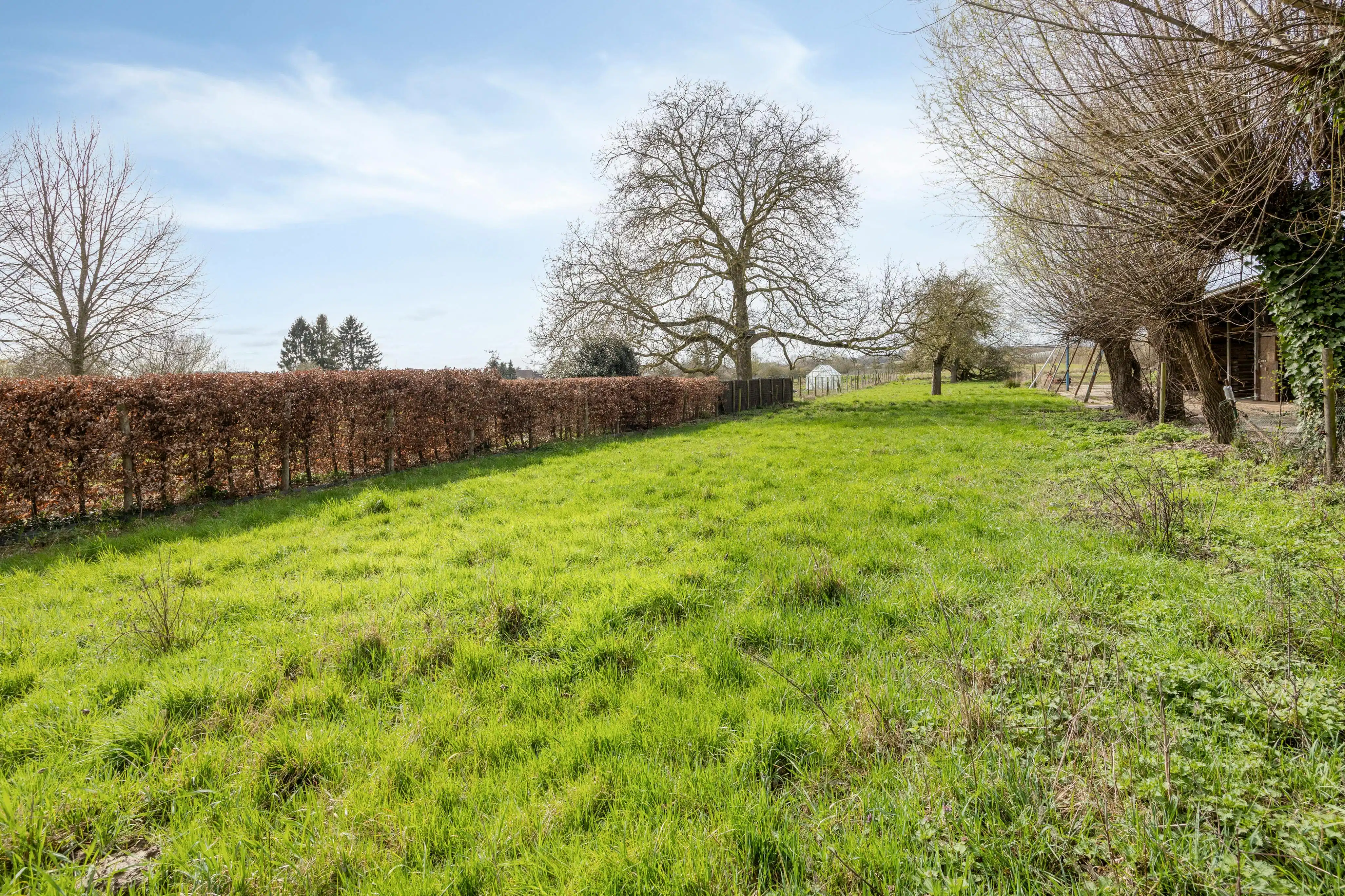 Bouwgrond te koop te Bierbeek foto 8