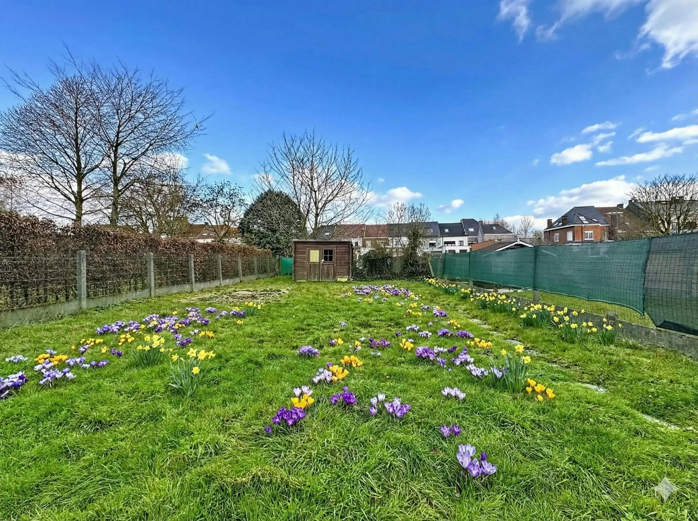 Woonhuis te Ninove, nu Gemeenschapshuis met 4 kamers (appt) foto 12